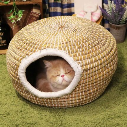 Round Pet House